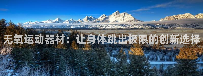 凯捷体育:无氧运动器材:让身体跳出极限的创新选择